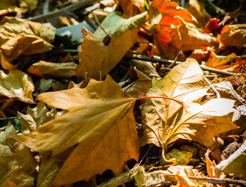 Evergreen State&ndash;except when it&nbsp;isn&rsquo;t