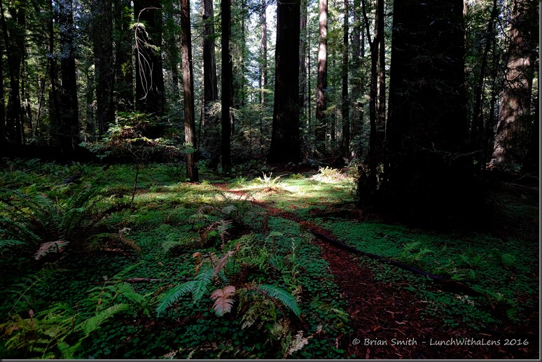 161026_ORCA_2016_653