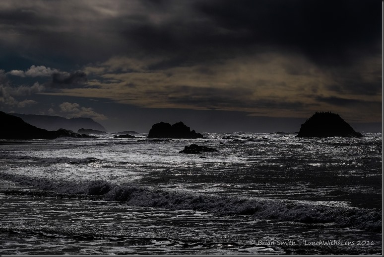 161028_ORCA_2016_497