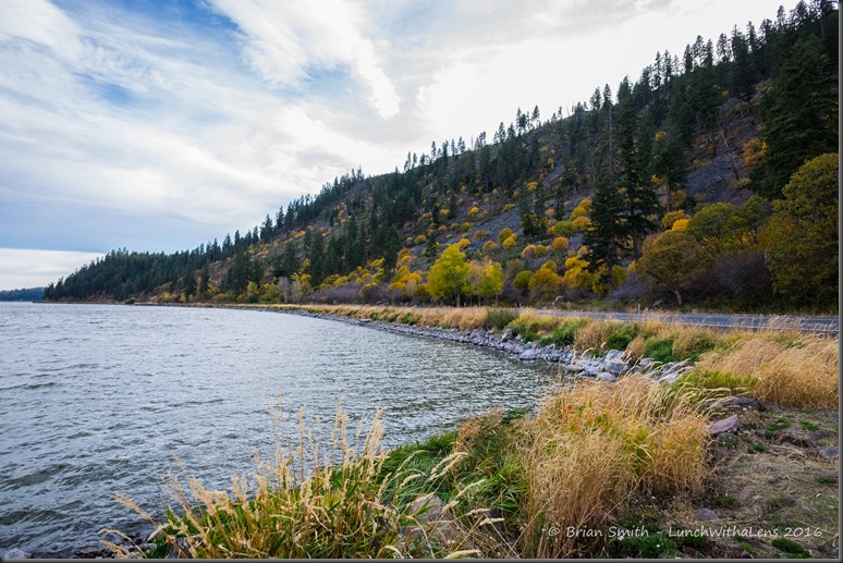 161023_ORCA_2016_763