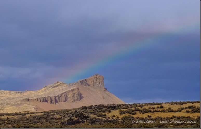 161024_ORCA_2016_494