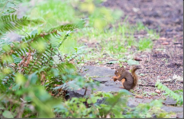 161028_ORCA_2016_432