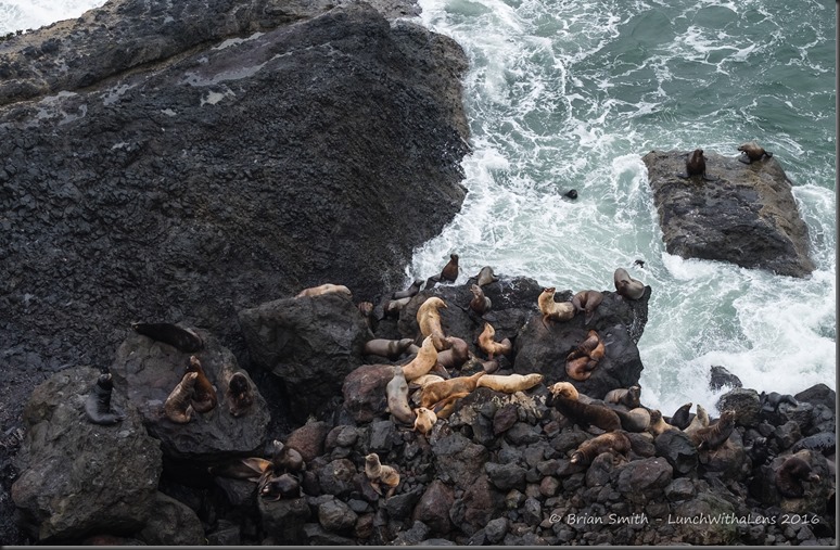 161028_ORCA_2016_216