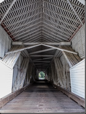 161022_ORCA_2016_082