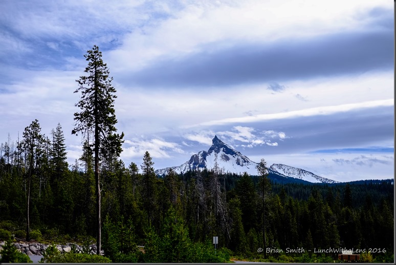 161023_ORCA_2016_406