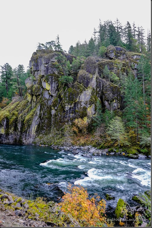 161023_ORCA_2016_250