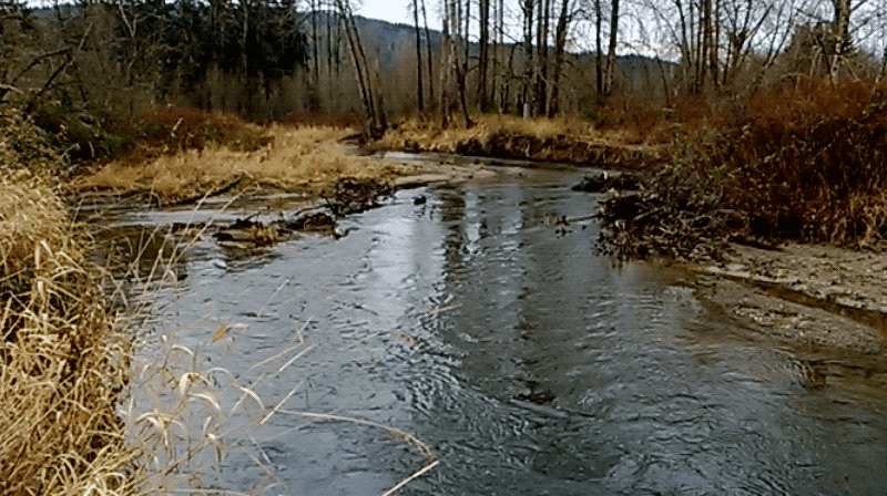 WP_20121213_12_28_16_Cinemagraph