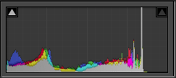 jpg histogram showing some combing, but certainly less dynamic range available