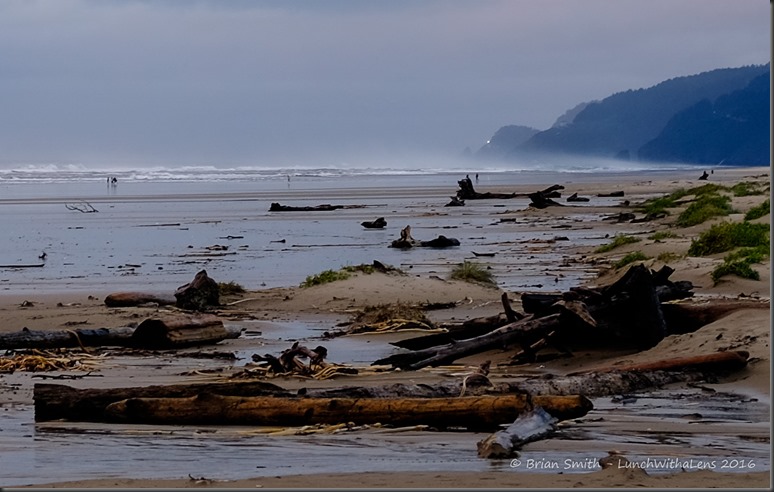 161027_ORCA_2016_948