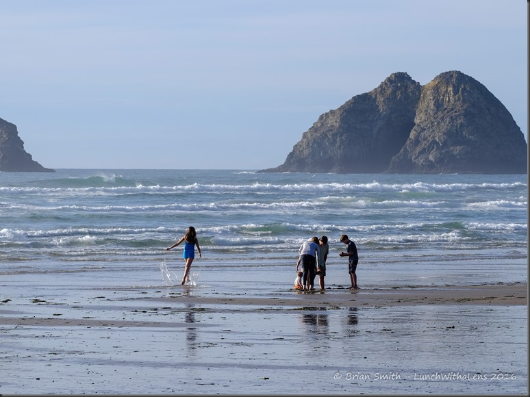 161028_ORCA_2016_581