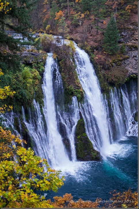 161024_ORCA_2016_517