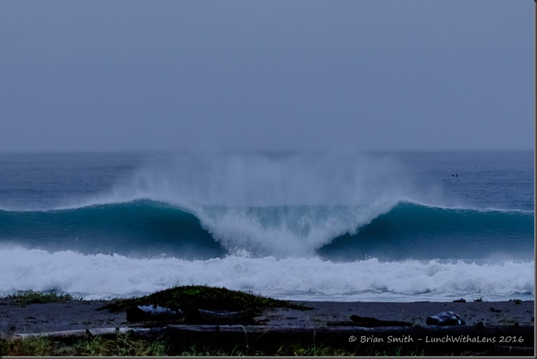 161027_ORCA_2016_768