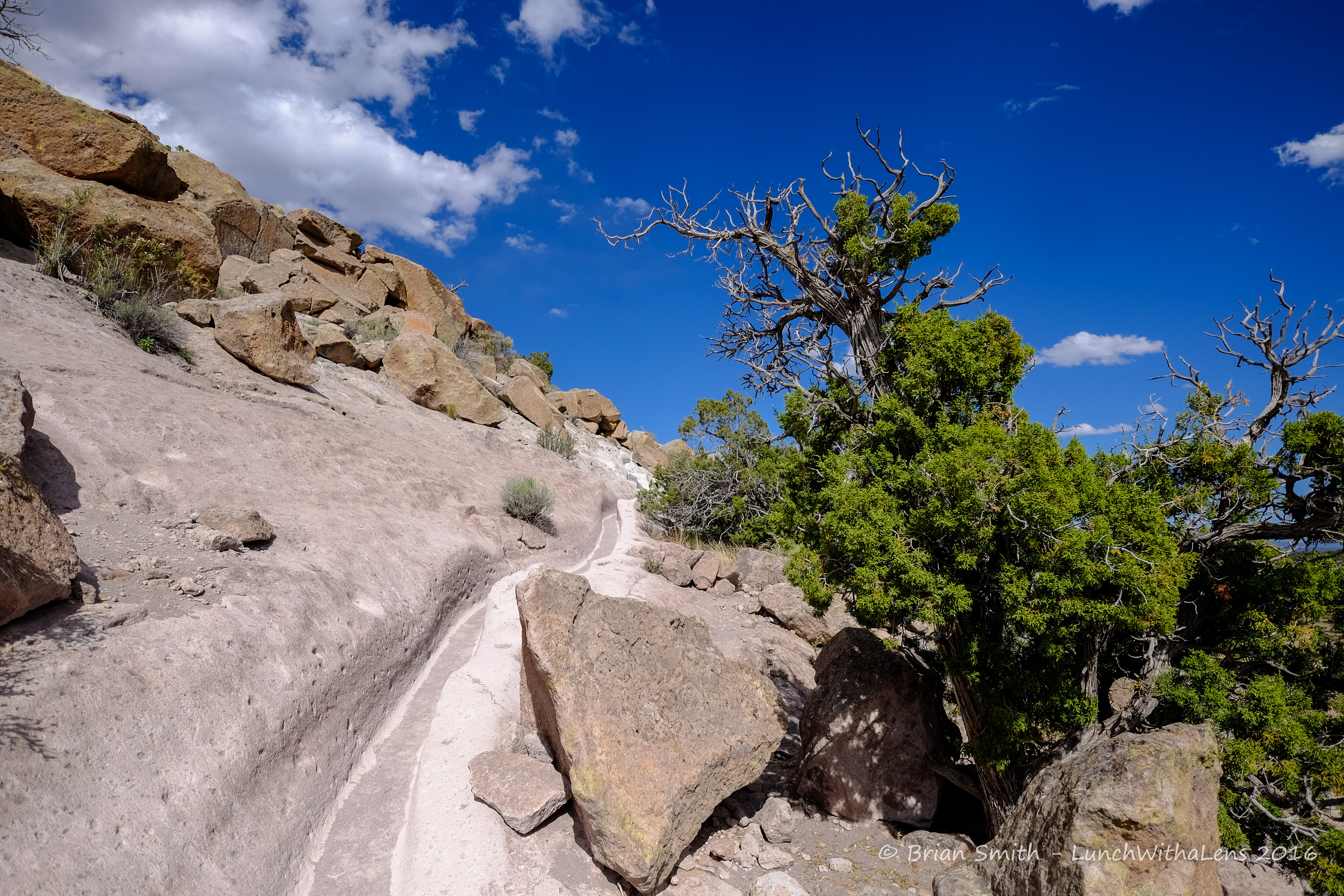 160523_NewMexico_813