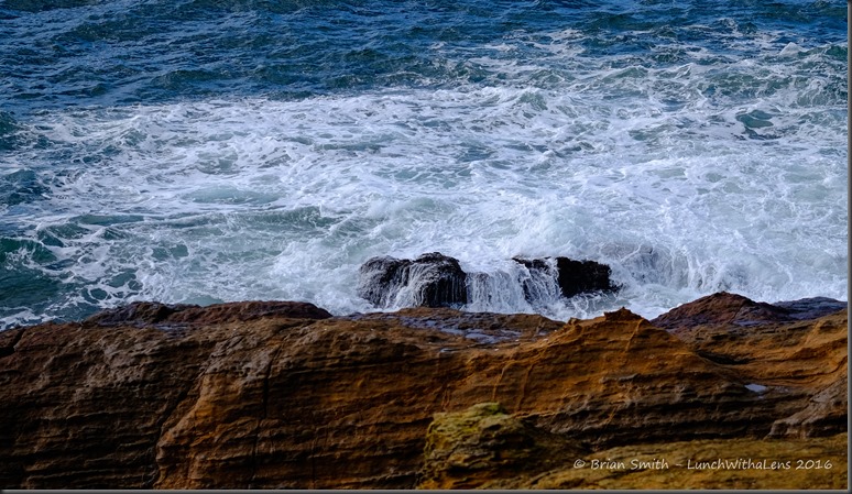 161028_ORCA_2016_513