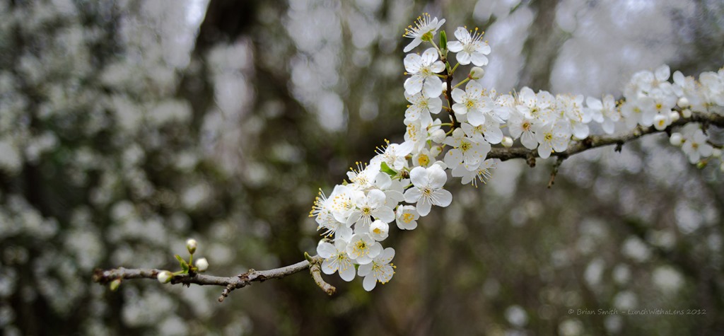 Do you remember when 28mm was&nbsp;wide-angle?