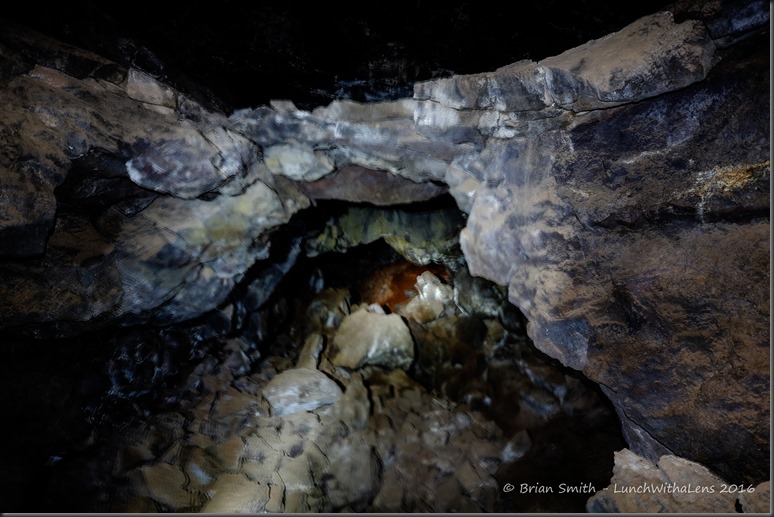 161024_ORCA_2016_146