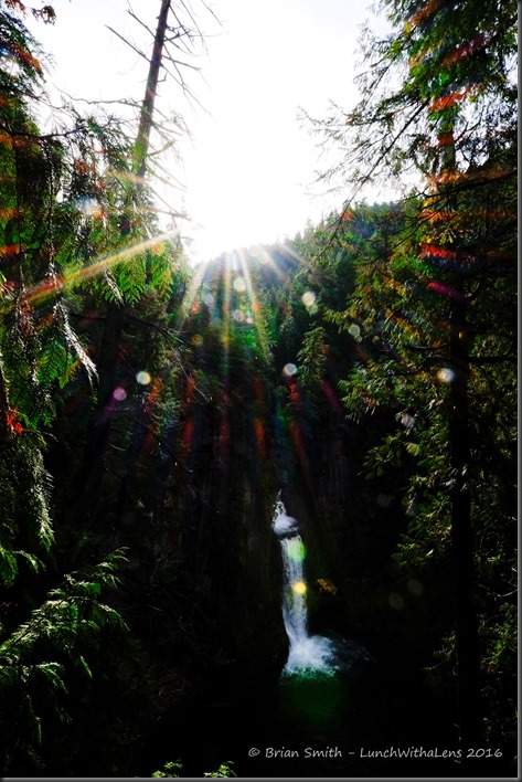 161023_ORCA_2016_320