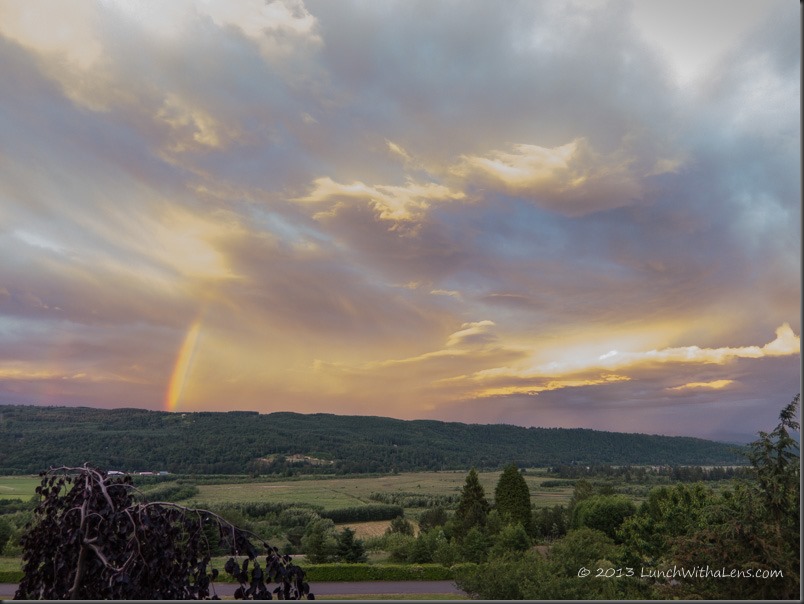 RAW file post processing - recovered a great deal of information in the highlights and very little noise