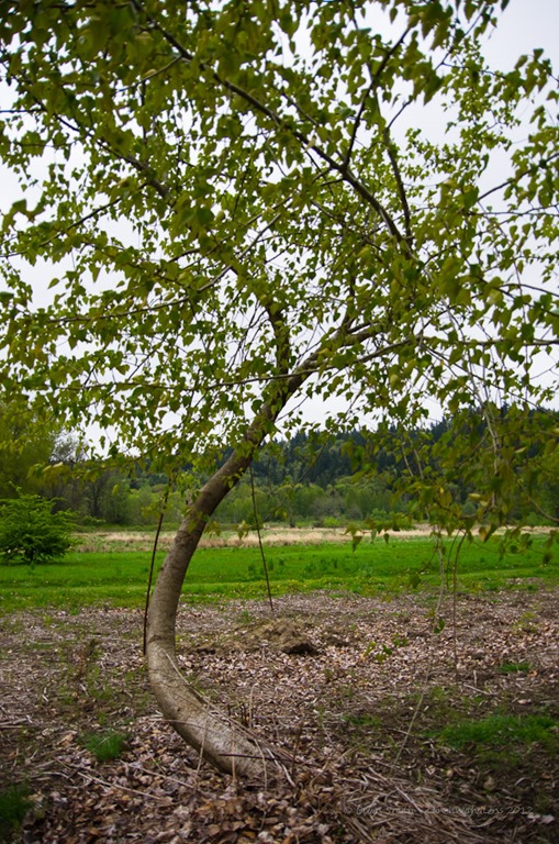 A change of&nbsp;perspective