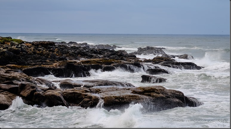 161028_ORCA_2016_043