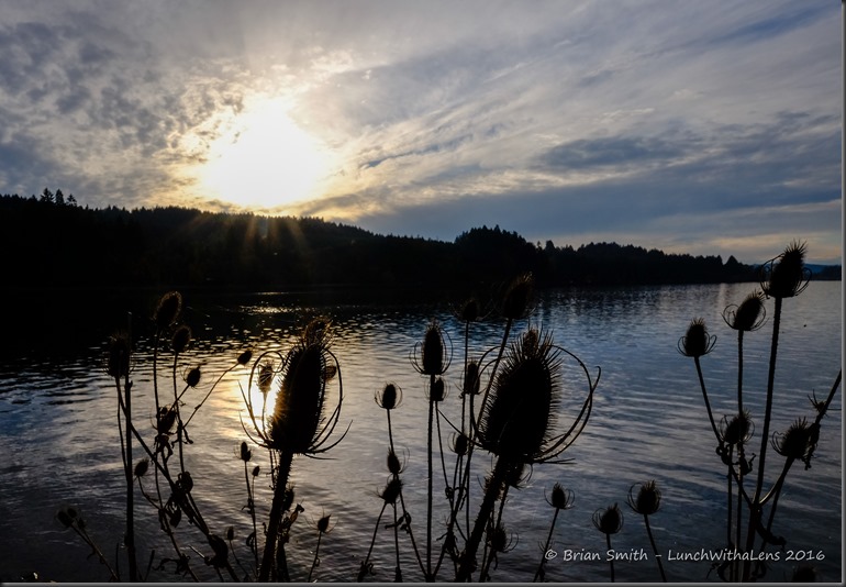 161022_ORCA_2016_124