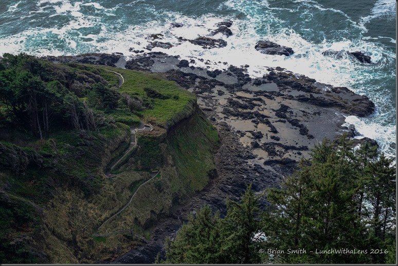 161028_ORCA_2016_395