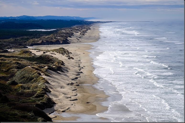 161028_ORCA_2016_271