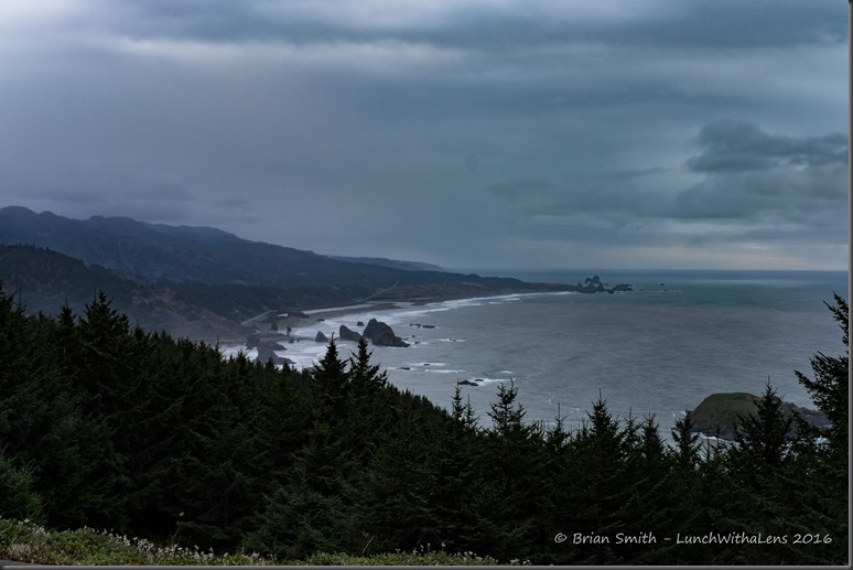 161027_ORCA_2016_862