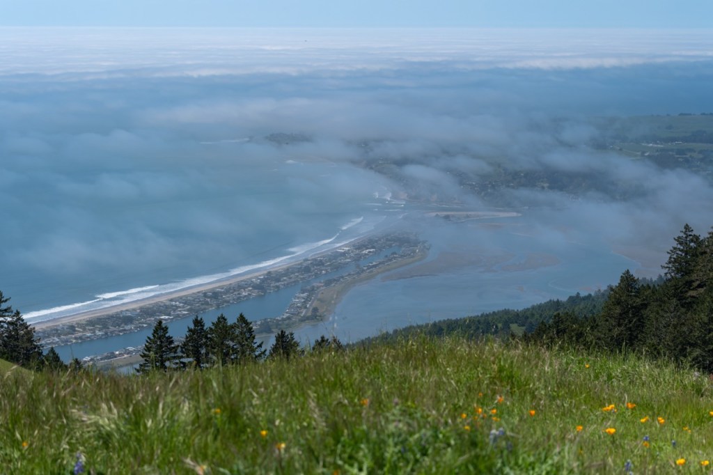Cataract Coastal Loop&nbsp;Trail