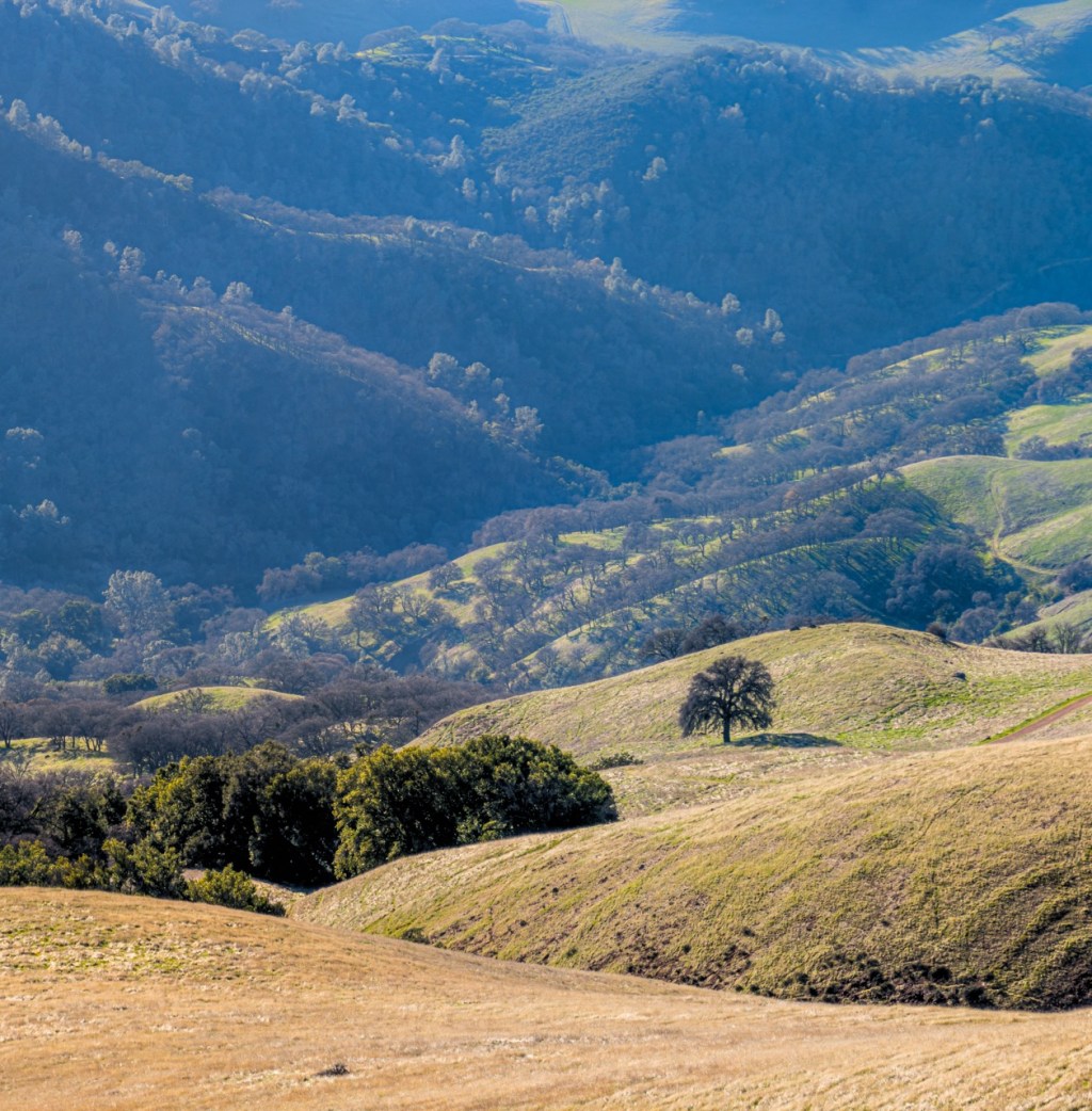 Mt Diablo State&nbsp;Park