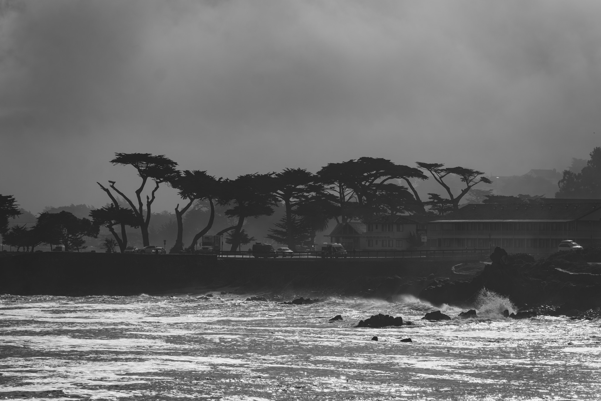 A black and white view of the Monterey waterfront with waves crashing on rocks and silhouetted cypress trees lining a coastal road.