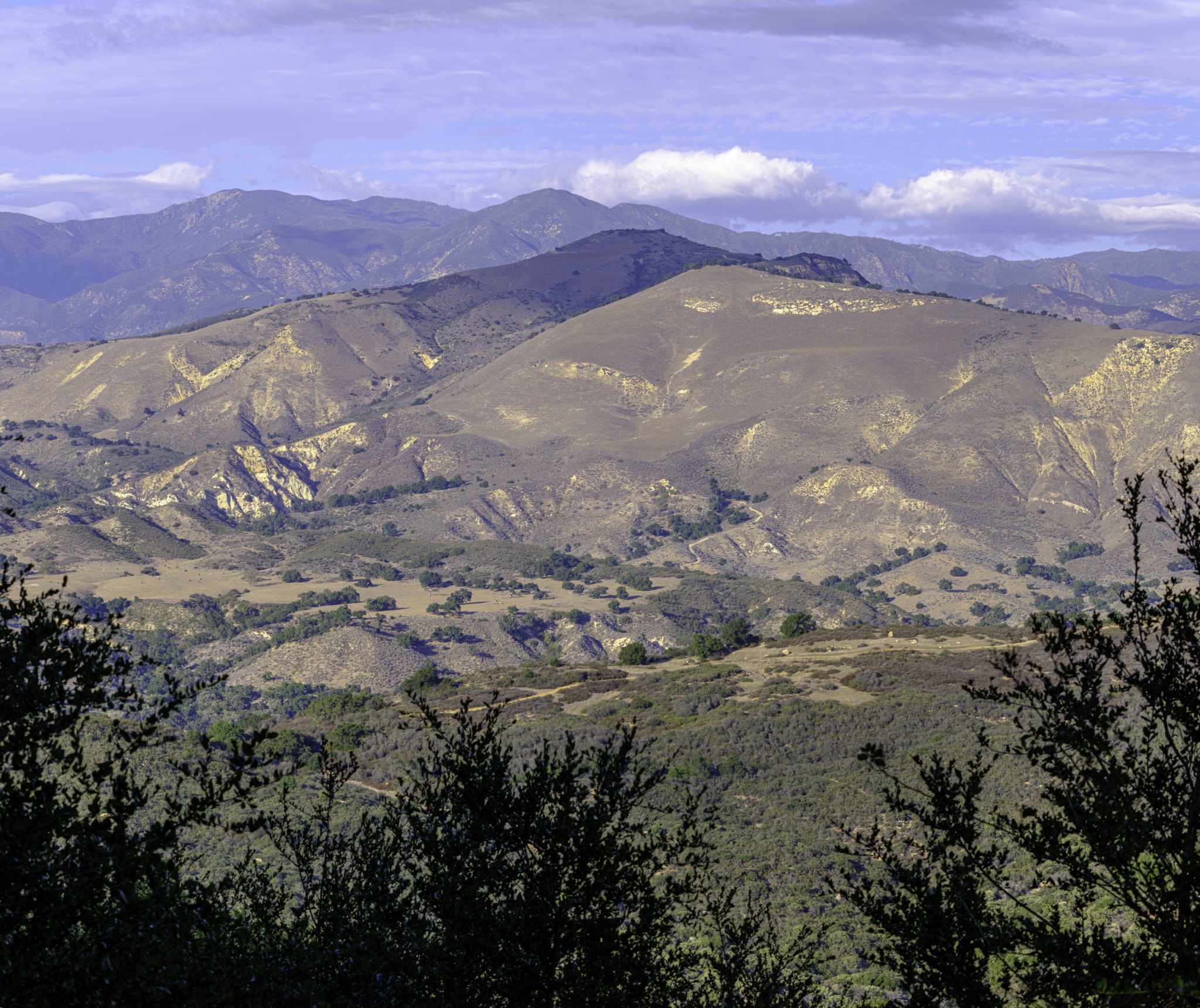 Golden-brown hills and distant blue mountains rise above a valley of scattered trees, framed by dark shrubs in the foreground under a cloudy sky.