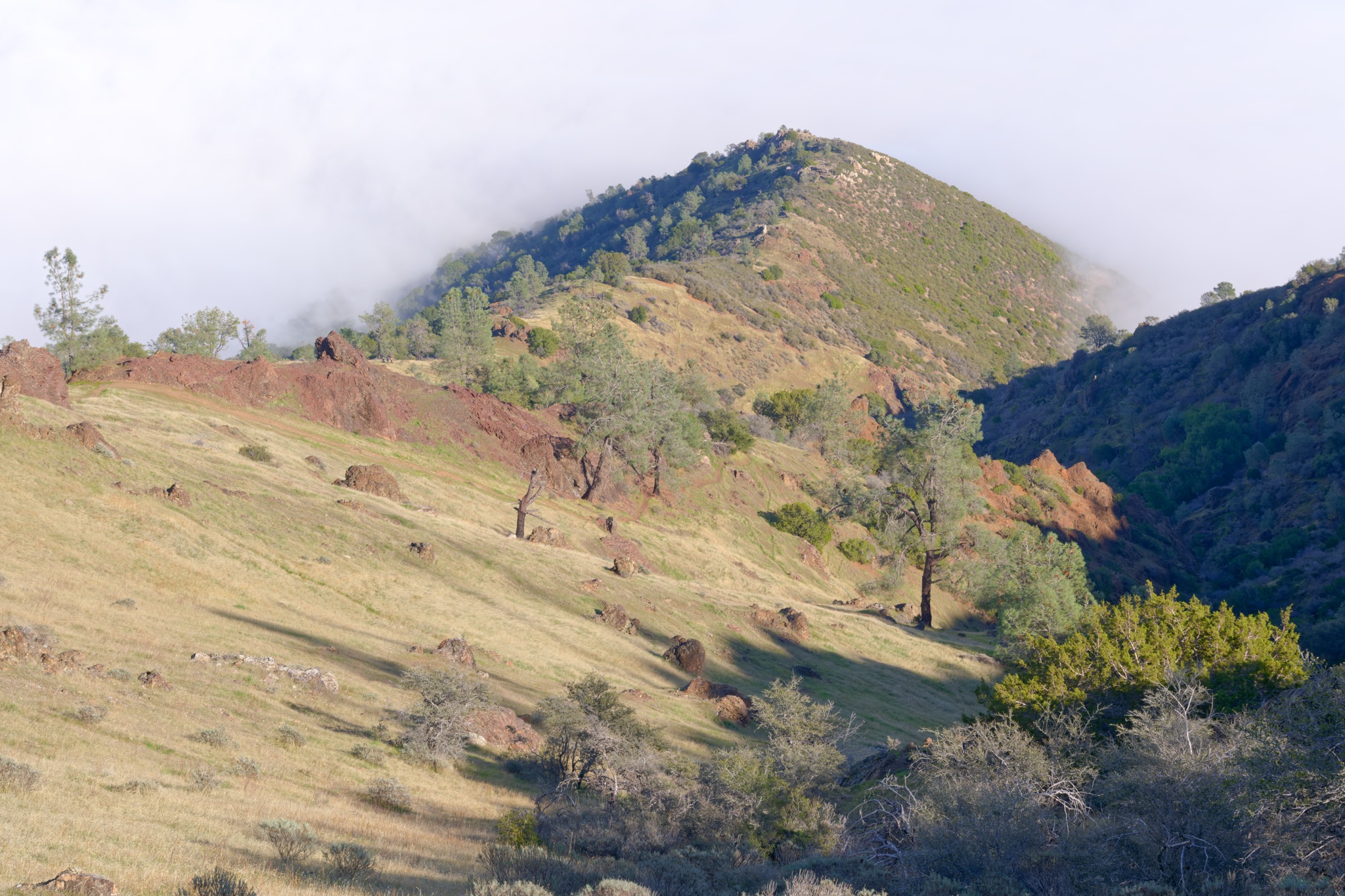 Grassy hills dotted with scattered trees and rocks rise toward a fog-wrapped peak at Mt Diablo.