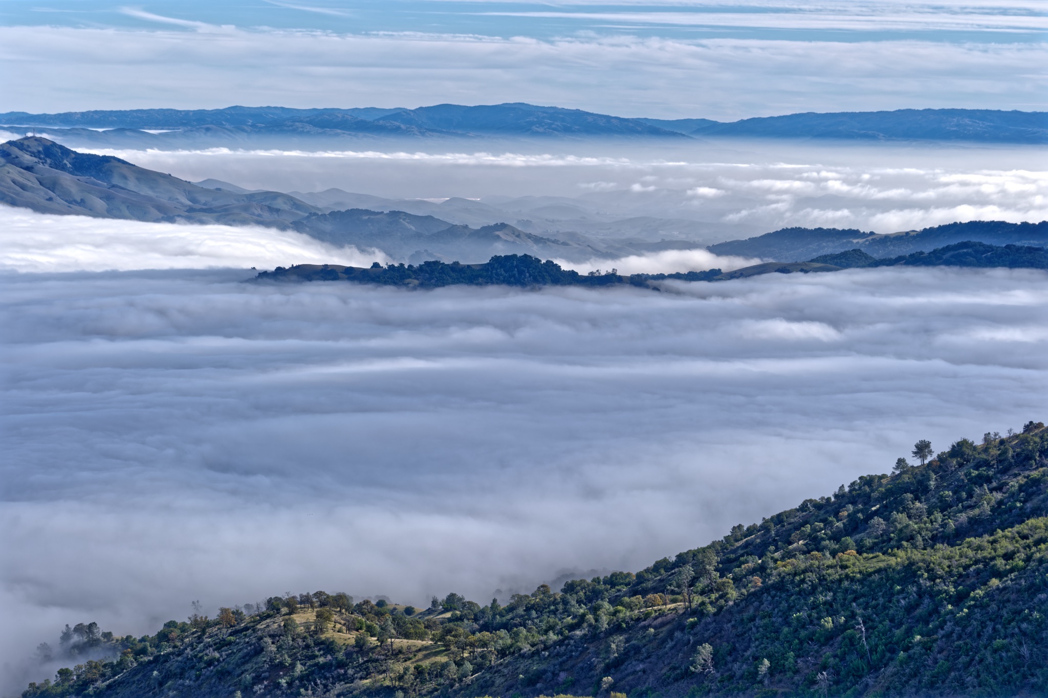 A thick blanket of white fog fills the valley below, with green, tree-covered hills rising above the mist toward a hazy blue sky.