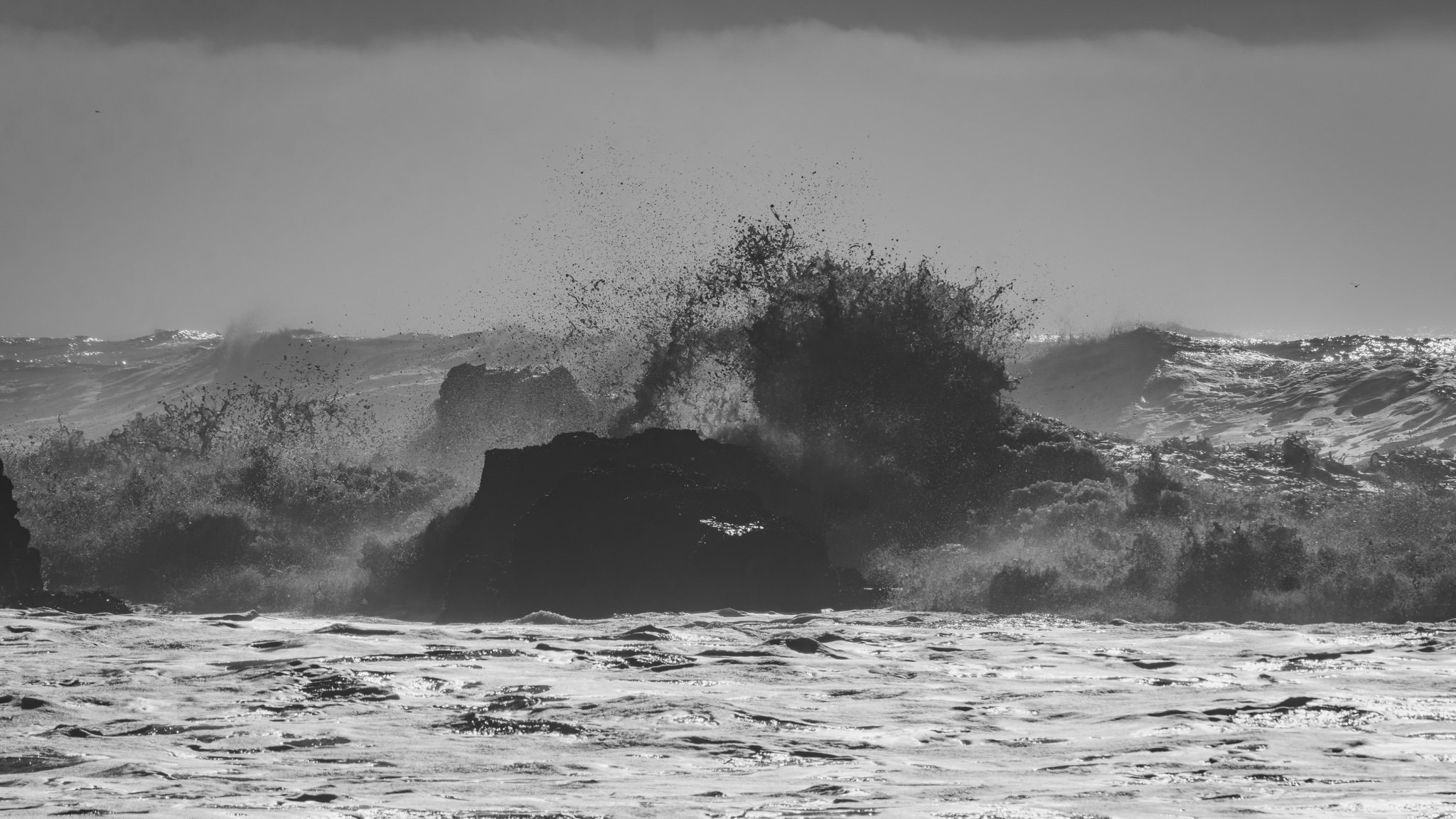 Black and white photo of a wave crashing against a dark rock at Pescadero Beach, sending a spray of water high into the air.