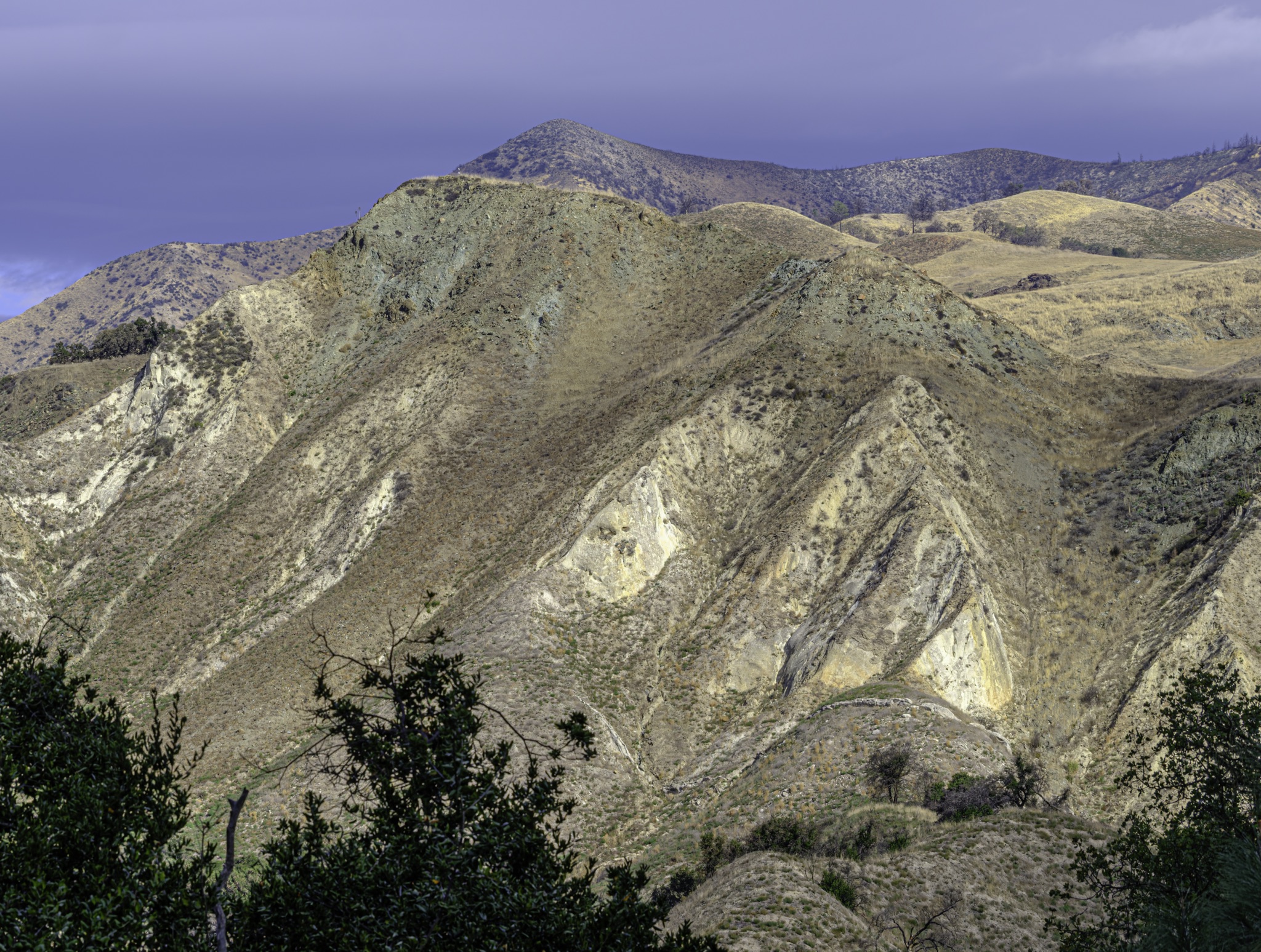 Rugged, eroded hills with exposed pale rock and sparse vegetation rise under a heavy, overcast sky, framed by dark green shrubs in the foreground.