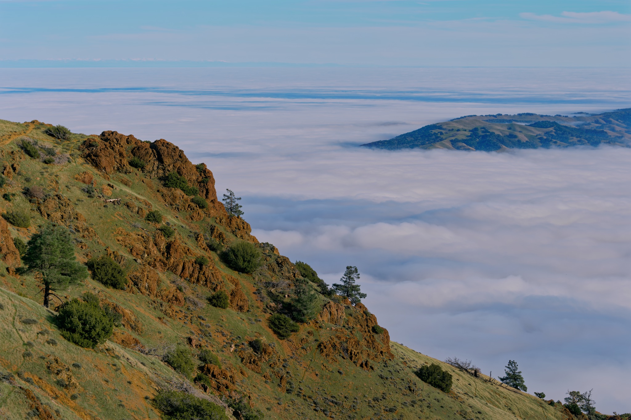 A grassy, rocky ridge with scattered pines slopes down toward a vast sea of clouds filling the valley below.
