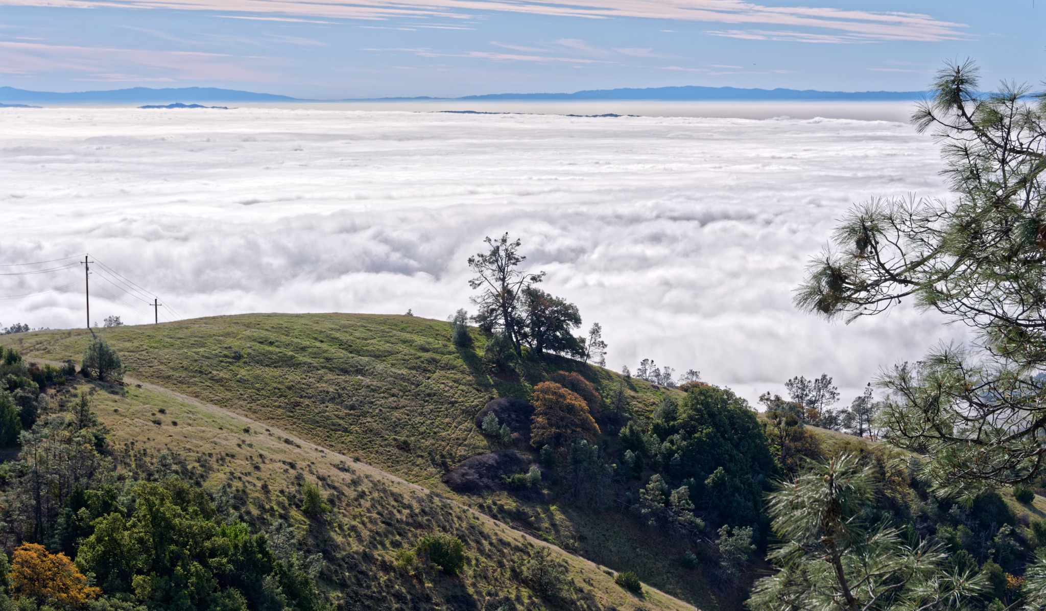 A grassy hillside with scattered trees and utility poles rises above a vast sea of clouds beneath a blue sky.