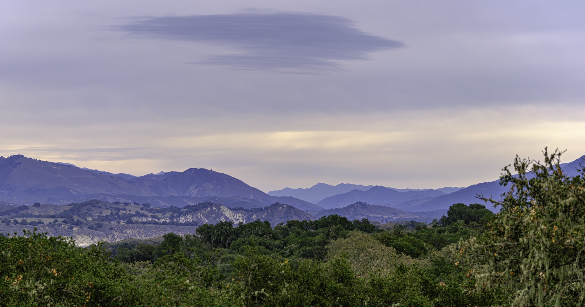 Dense green shrubs and trees fill the foreground, with layered blue-purple mountain ridges receding into the distance beneath a pale, overcast sky.
