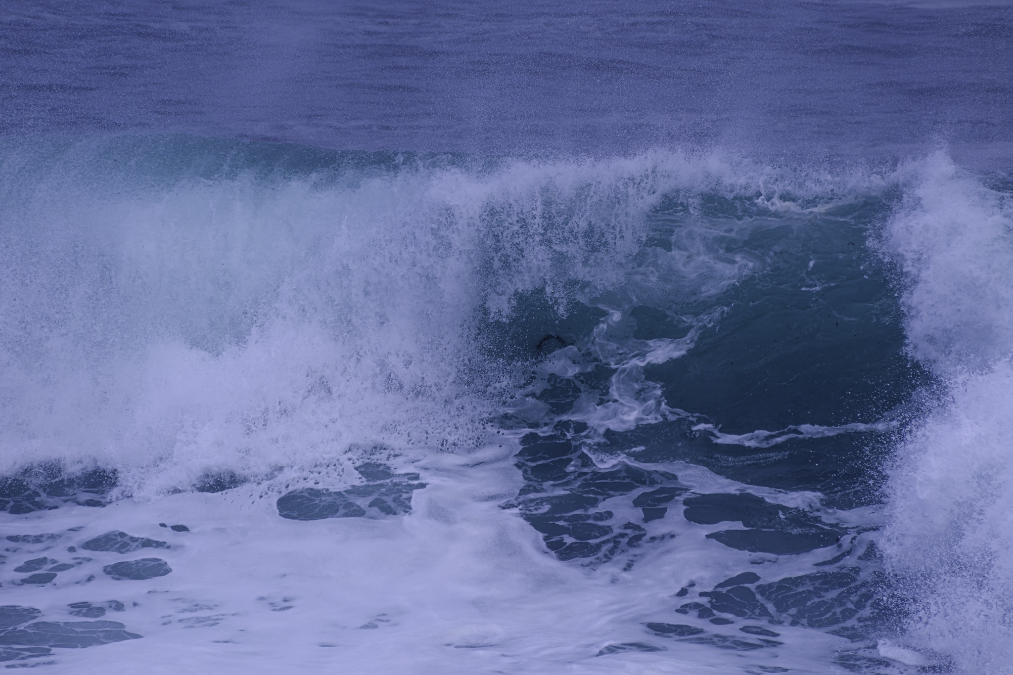 A large ocean wave crashes and breaks into white foam, its crest curling over in a dynamic burst of water.