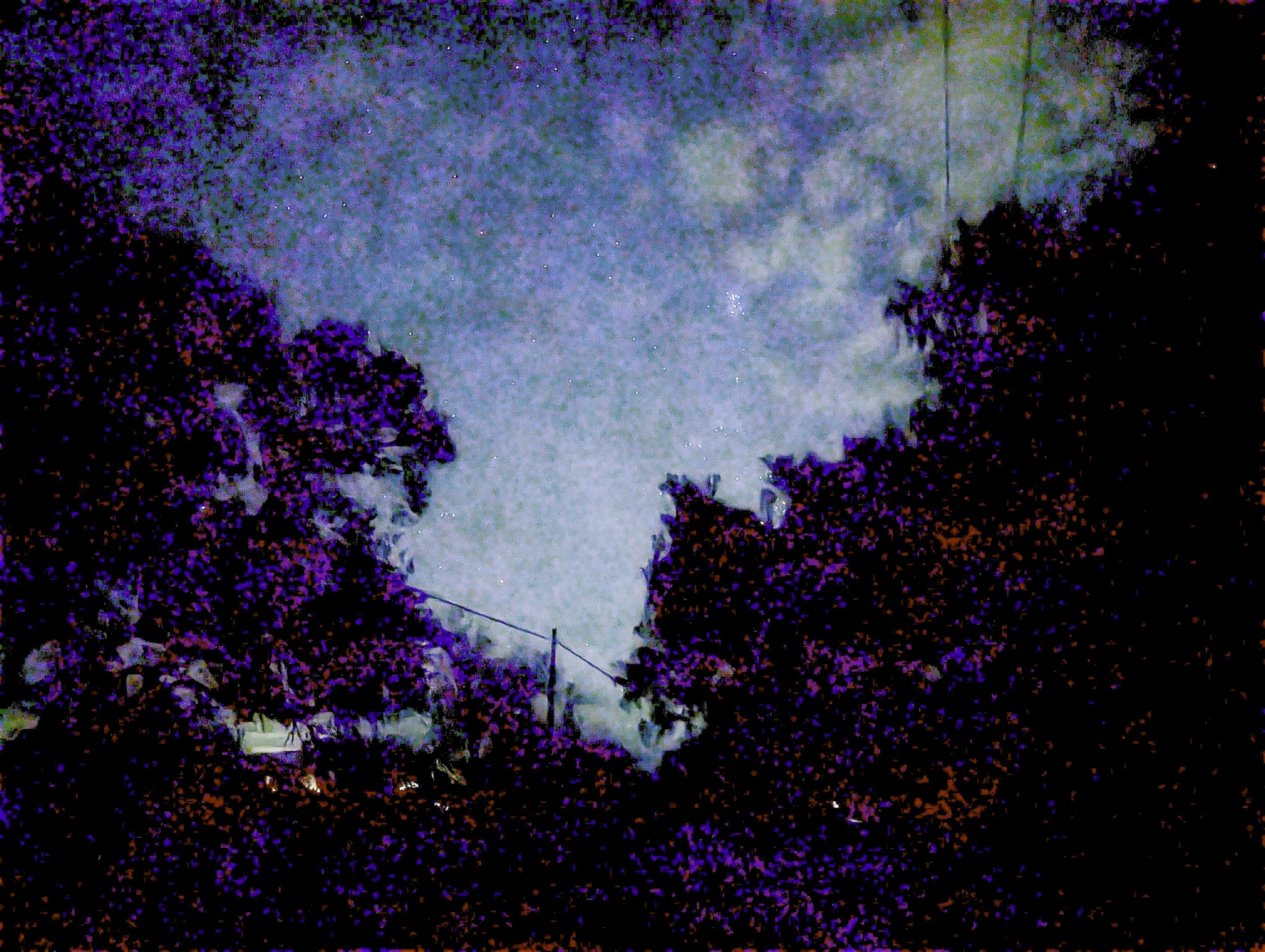 A pale, cloudy sky framed by dark, heavily pixelated tree silhouettes with a thin wire and small post crossing the lower center.