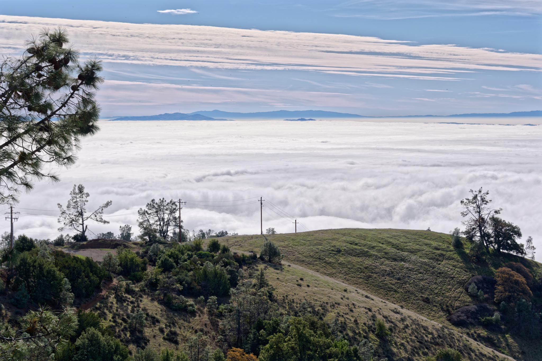 A grassy hillside with scattered trees and power lines overlooks a vast sea of clouds beneath a blue sky.