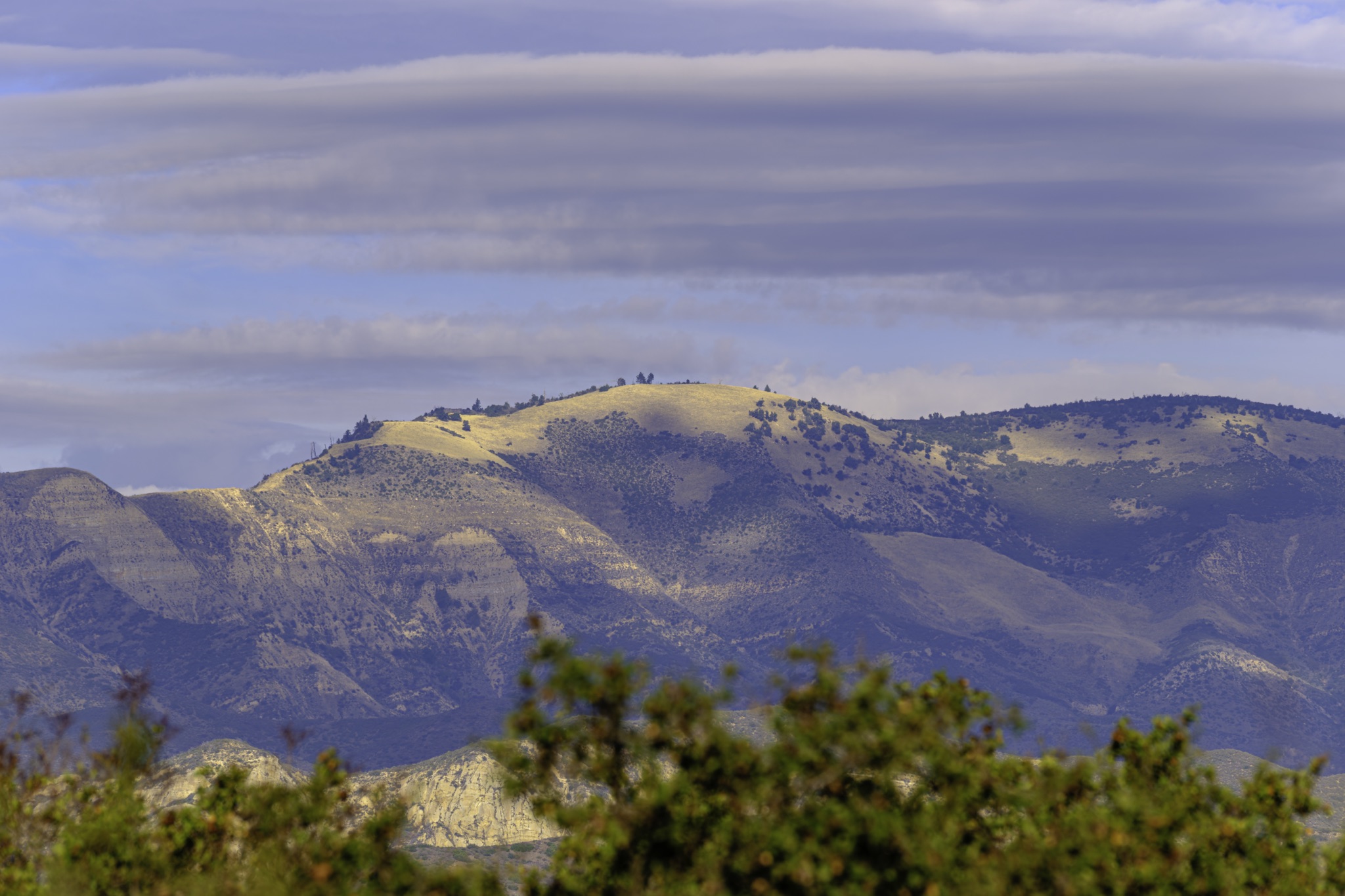 Sunlit golden hills of the Santa Ynez range rise above a blurred green foreground, with layered clouds drifting across a blue sky.