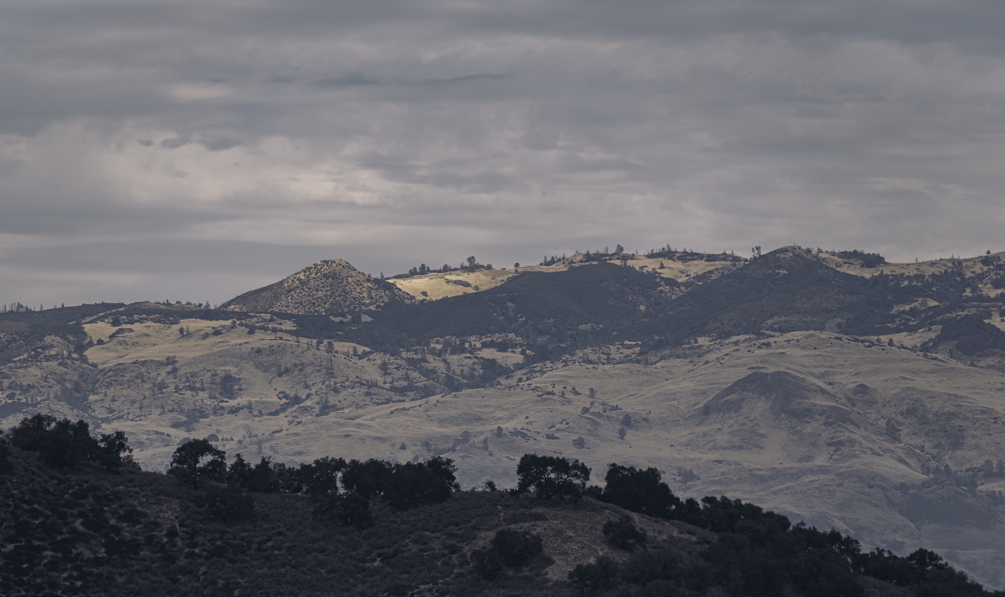 Rugged, dry hills of the Santa Ynez range rise beneath a heavy, overcast sky, with sparse trees dotting the slopes.