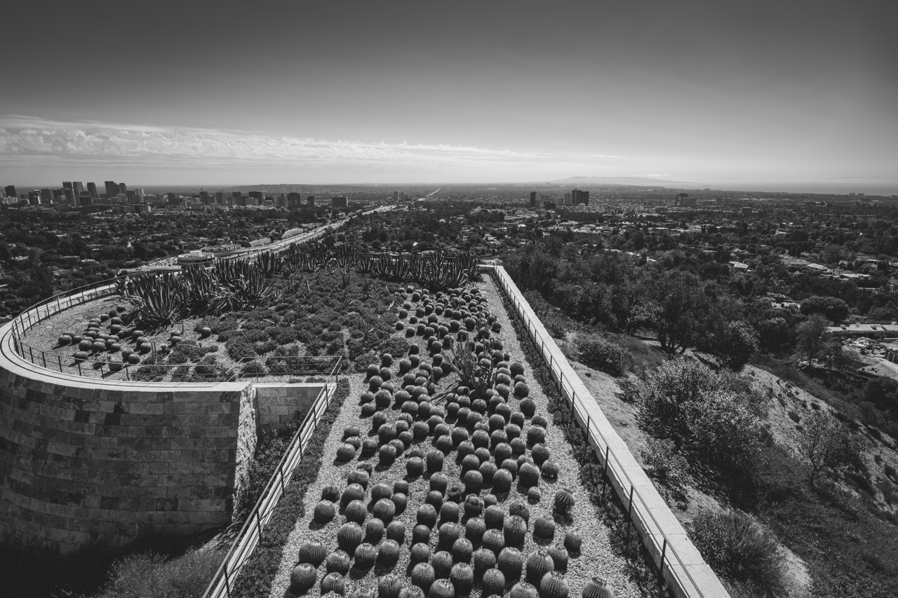 A black and white view of a cactus garden at the Getty Center, with a stone wall and railings overlooking a sprawling cityscape.