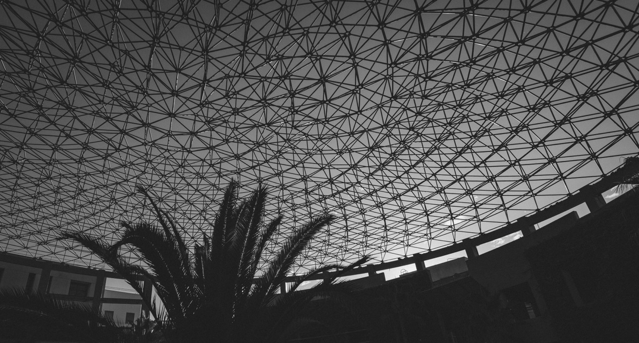 A palm tree silhouetted against a large geodesic dome structure at Universal Citywalk in California.